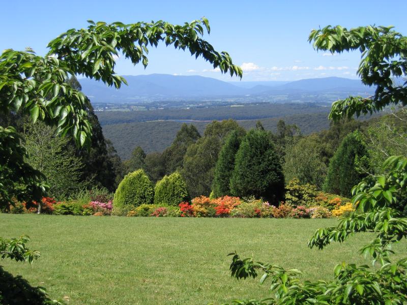 Olinda - Dandenong Ranges Botanic Garden: View at Cherry Tree Grove