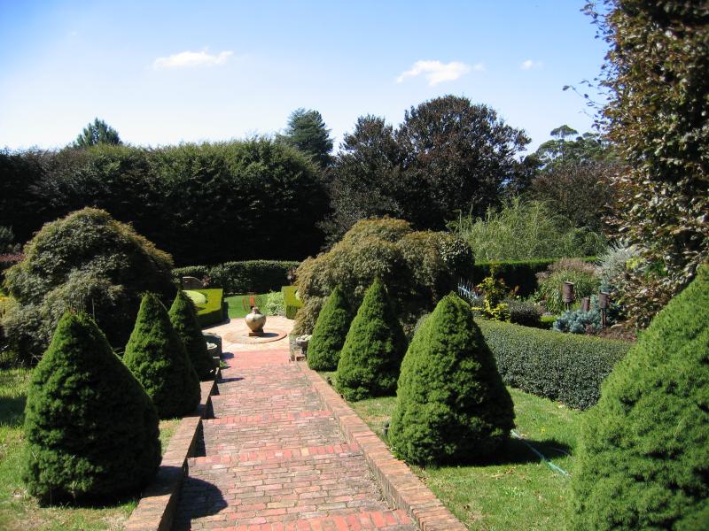 Olinda - Cloudehill Gardens, Monbulk Road: Pathway through conifers