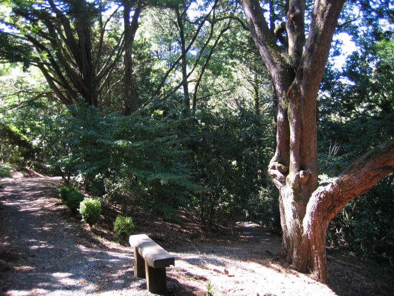 Olinda - Cloudehill Gardens, Monbulk Road: Pathway in Kejoma Garden