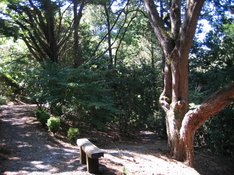 Olinda - Cloudehill Gardens, Monbulk Road - Pathway in Kejoma Garden