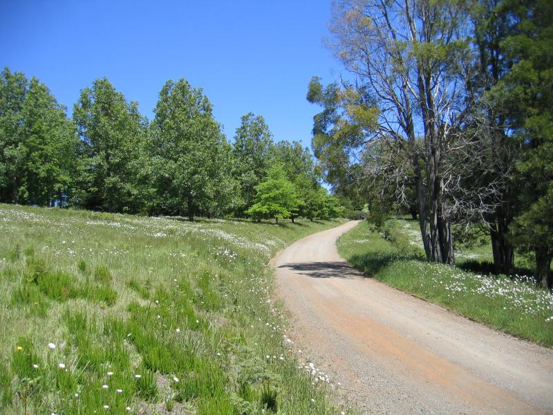 Olinda - Valley Picnic Ground, Boundary Road: View south along Silvan Rd