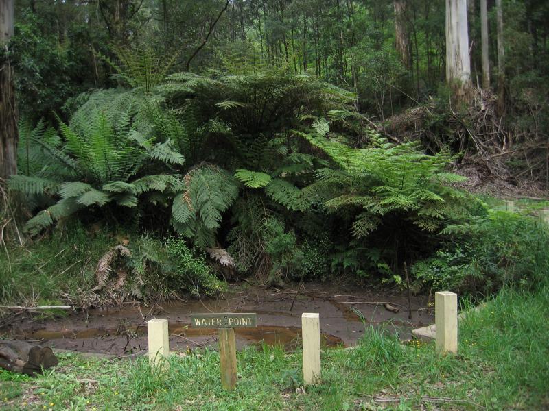 Olinda - Valley Picnic Ground, Boundary Road: Creek crossing on Boundary Rd