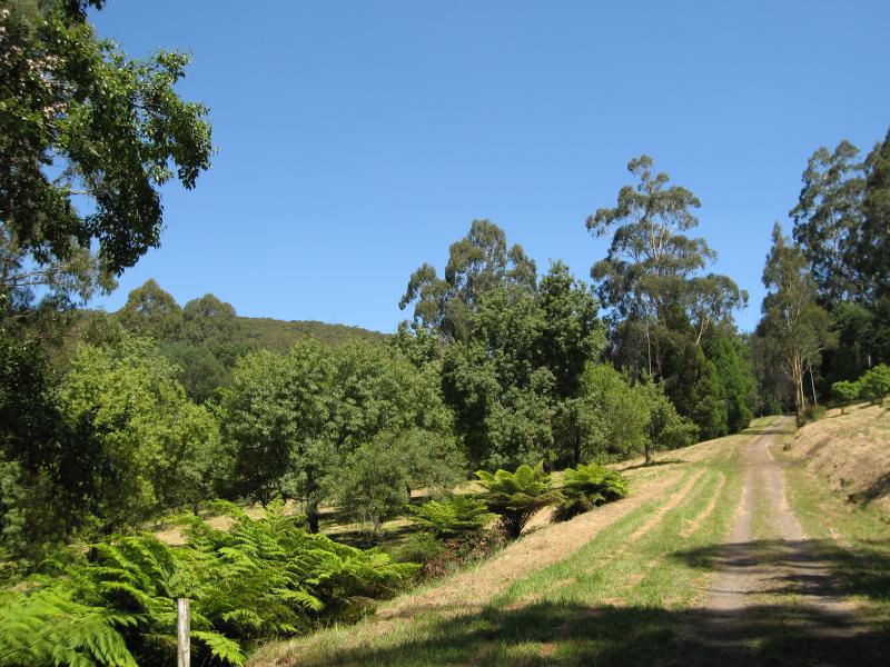 Olinda - Valley Picnic Ground, Boundary Road: View south along Yallambee Way walking track near car park