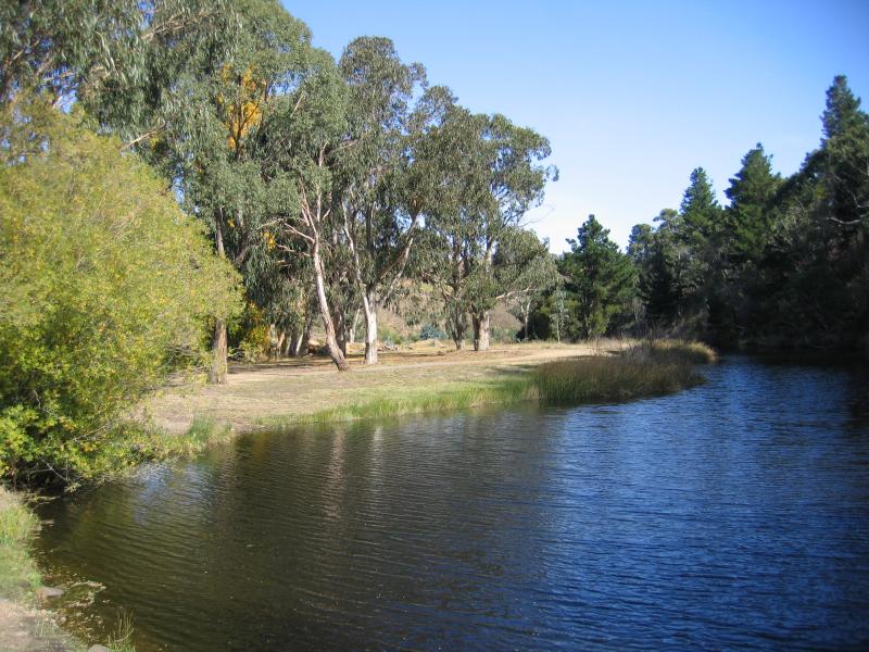 Omeo - Recreation Reserve at Livingstone Creek - View along creek near swimming lake