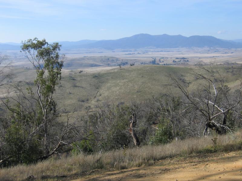 Omeo - McMillans Lookout, Benambra Road - View from lookout