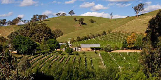 Ensay Winery, Ensay