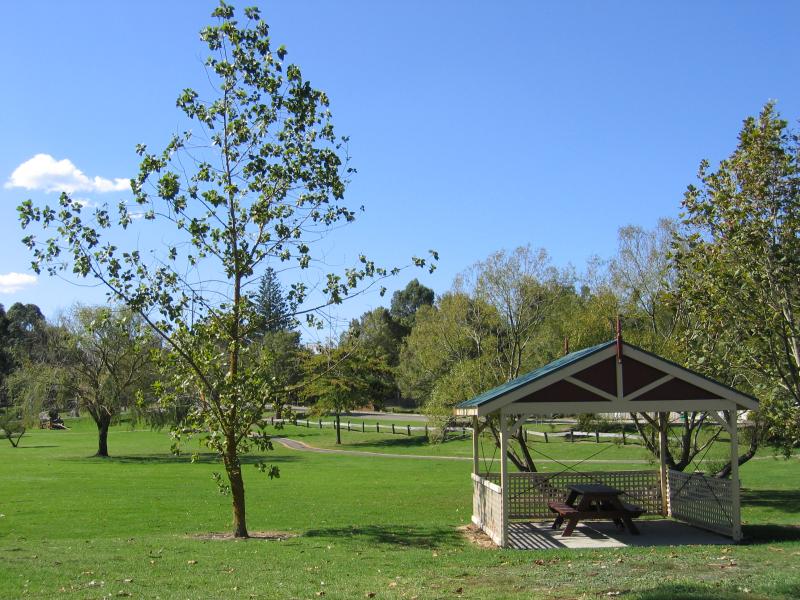 Orbost - Forest Park, Nicholson Street and Forest Road: Picnic shelter
