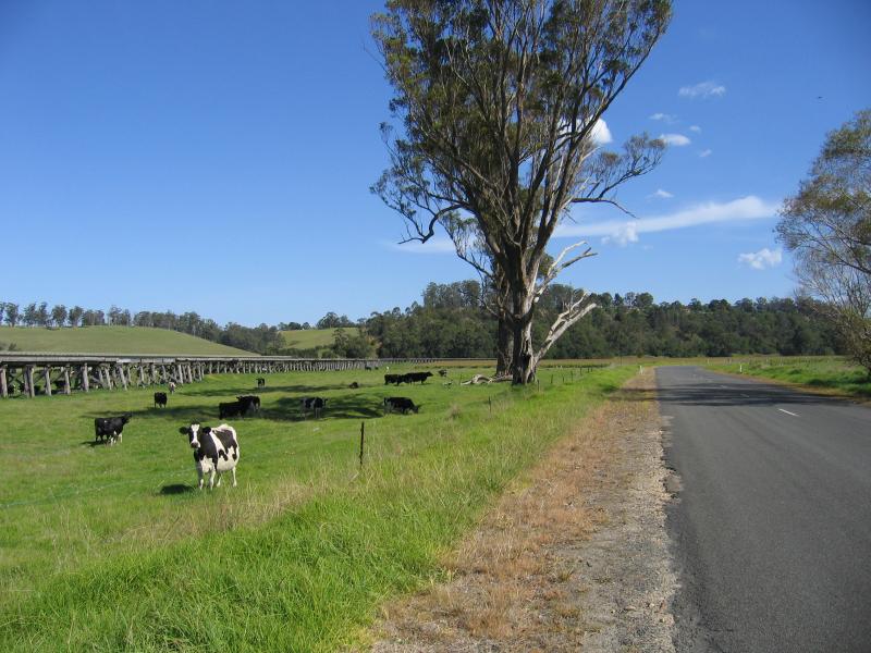 Orbost - Snowy River and surrounding river flats: View west along Buchan-Orbost Rd, north of old railway line