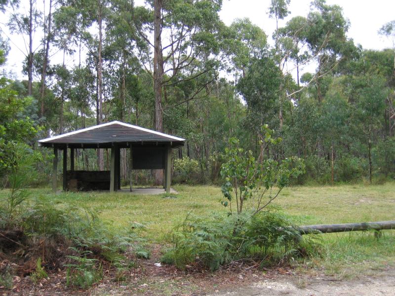 Orbost - Murrungower Forest Drive: Murrungower Picnic Area, Princes Hwy near Murrungower Rd