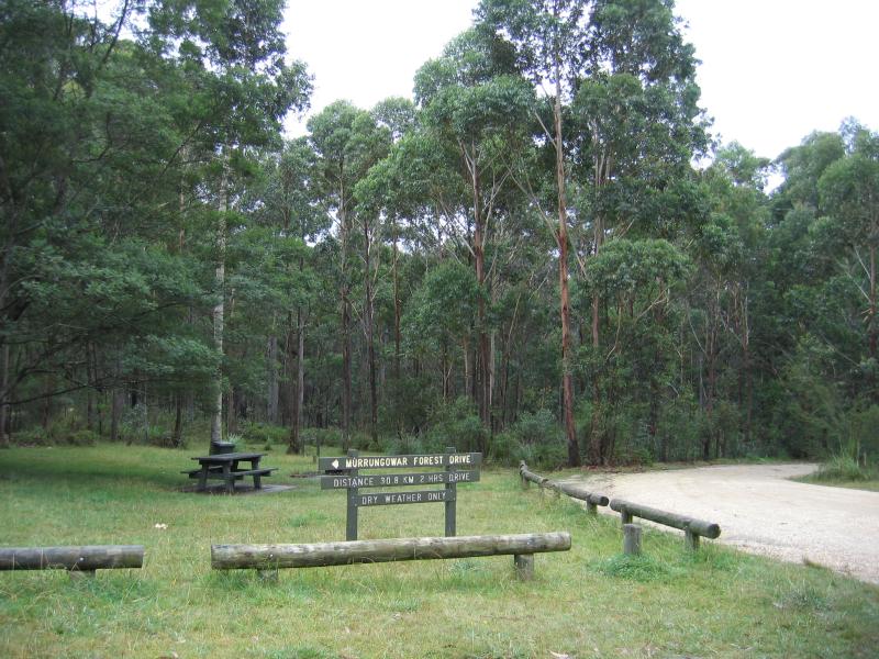 Orbost - Murrungower Forest Drive: Murrungower Picnic Area, Princes Hwy near Murrungower Rd