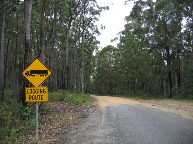 Orbost - Murrungower Forest Drive: View north along Murrungower Rd near Princes Hwy