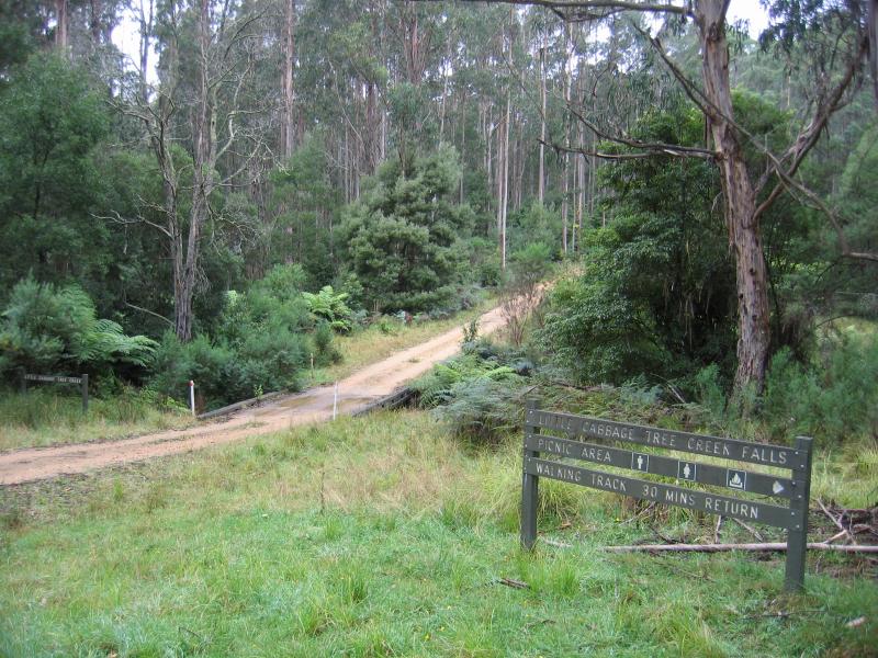 Orbost - Murrungower Forest Drive: Bridge over Little Cabbage Tree Creek on Tarlton Track