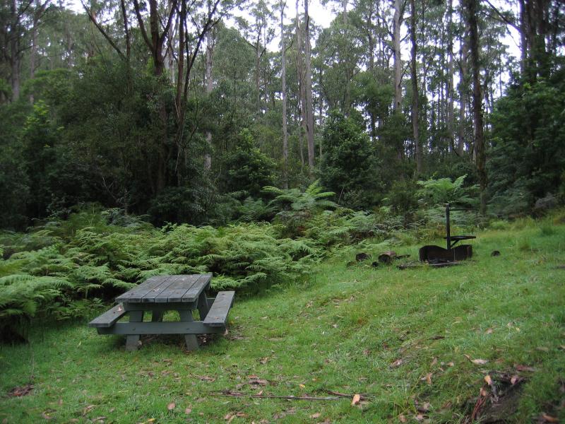 Orbost - Murrungower Forest Drive: Picnic area along walking track between Tarlton Track and Little Cabbage Tree Creek Falls
