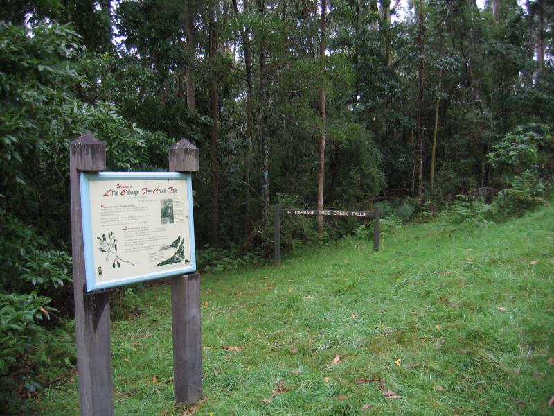 Orbost - Murrungower Forest Drive: Path to Little Cabbage Tree Creek Falls
