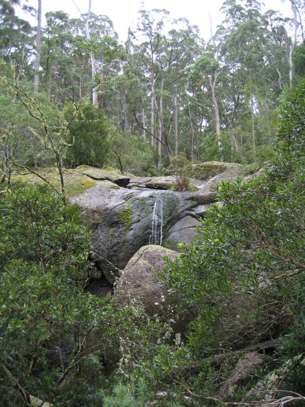 Orbost - Murrungower Forest Drive: Little Cabbage Tree Creek Falls