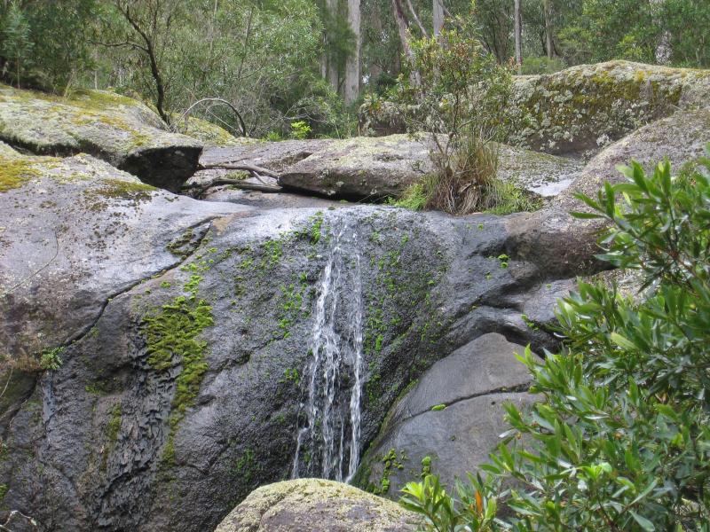Orbost - Murrungower Forest Drive: Little Cabbage Tree Creek Falls