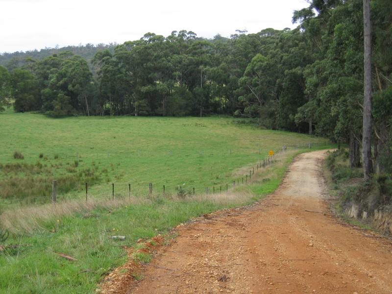 Orbost - Murrungower Forest Drive: View along Dyer Creek Rd, north of Little Cabbage Tree Creek