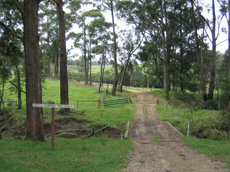 Orbost - Murrungower Forest Drive: Dyer Creek Rd at Little Cabbage Tree Creek