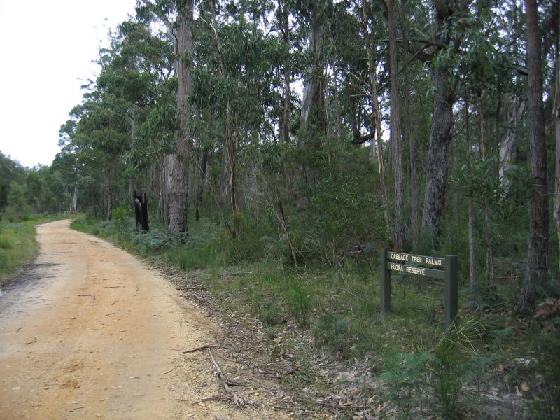 Orbost - Cabbage Tree Palms Flora Reserve, Marlo-Cabbage Tree Rd: Entrance to Cabbage Tree Palms Flora Reserve
