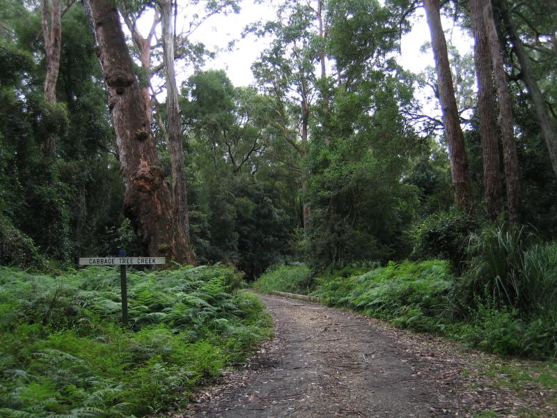 Orbost - Cabbage Tree Palms Flora Reserve, Marlo-Cabbage Tree Rd: Bridge across Cabbage Tree Creek