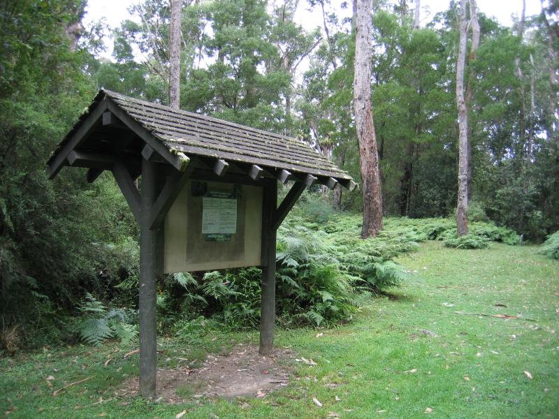 Orbost - Cabbage Tree Palms Flora Reserve, Marlo-Cabbage Tree Rd: Picnic area