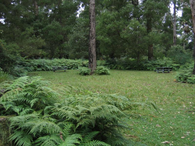 Orbost - Cabbage Tree Palms Flora Reserve, Marlo-Cabbage Tree Rd: Picnic area