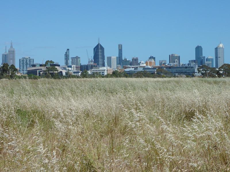 Parkville - Royal Park, Native Grassland and surroundings: Southerly view across grassland towards Melbourne CBD