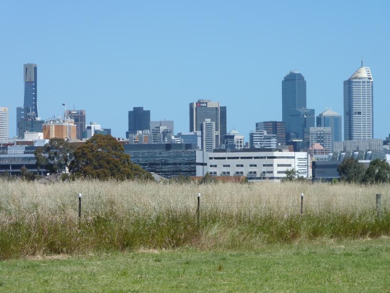 Parkville - Royal Park, Native Grassland and surroundings: Southerly view towards grassland and Melbourne CBD