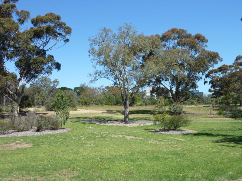 Parkville - Royal Park, Elliott Avenue and Macarthur Road: View through parkland on south side of Elliott Av east of Brens Rd