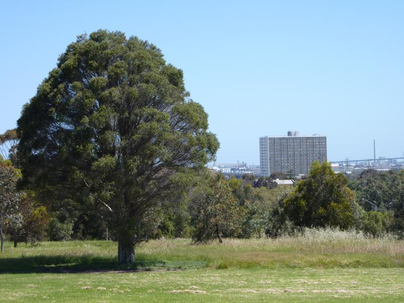 Parkville - Royal Park, State Netball Hockey Centre and surroundings: South-westerly view towards apartment building in North Melbourne from near Brens Dr