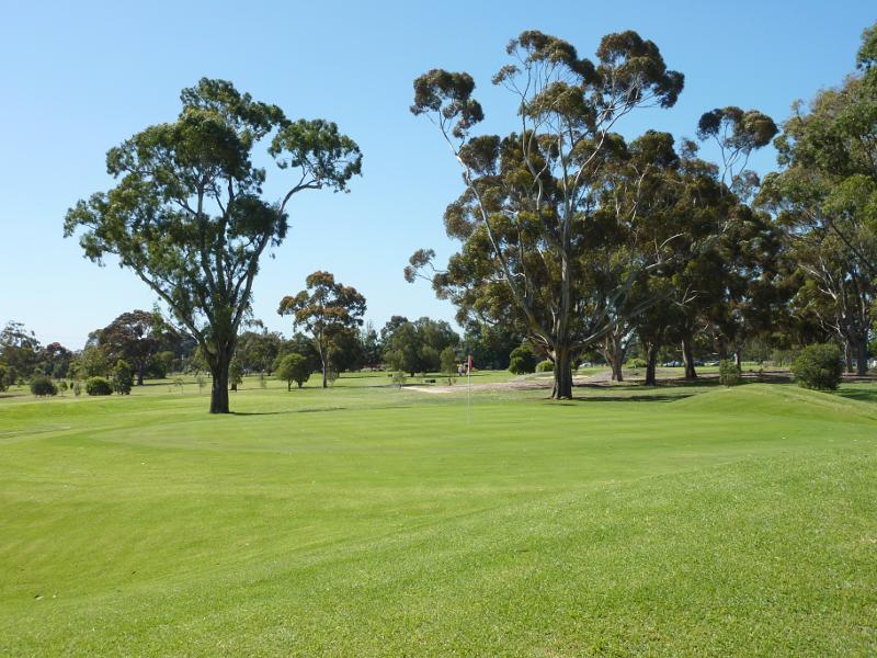 Parkville - Royal Park - ovals and golf course - View of Royal Park Golf Course from The Avenue