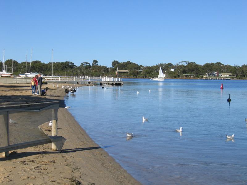 Paynesville - Southern coast and foreshore: Sandy beach, foreshore east of jetty