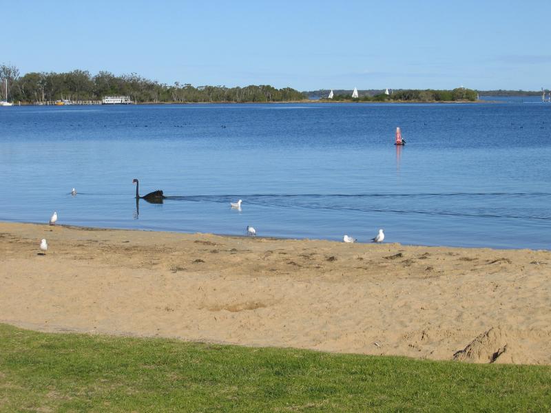 Paynesville - Southern coast and foreshore: View to Raymond Island from foreshore beach