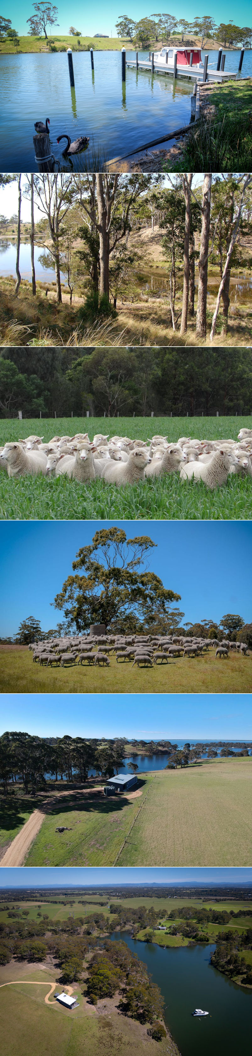 The Wool House - Surrounding property