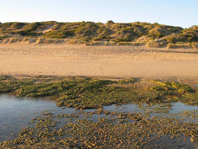 Point Lonsdale - Lookout and Surf Back Beach, Ocean Road opposite Winterley Road: View north from beach towards sand dunes