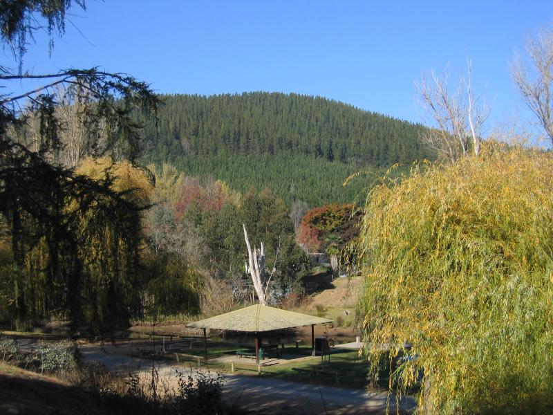 Porepunkah - Apex Park and Ovens River, Nicholson Street: View south across Apex Park from Nicholson St