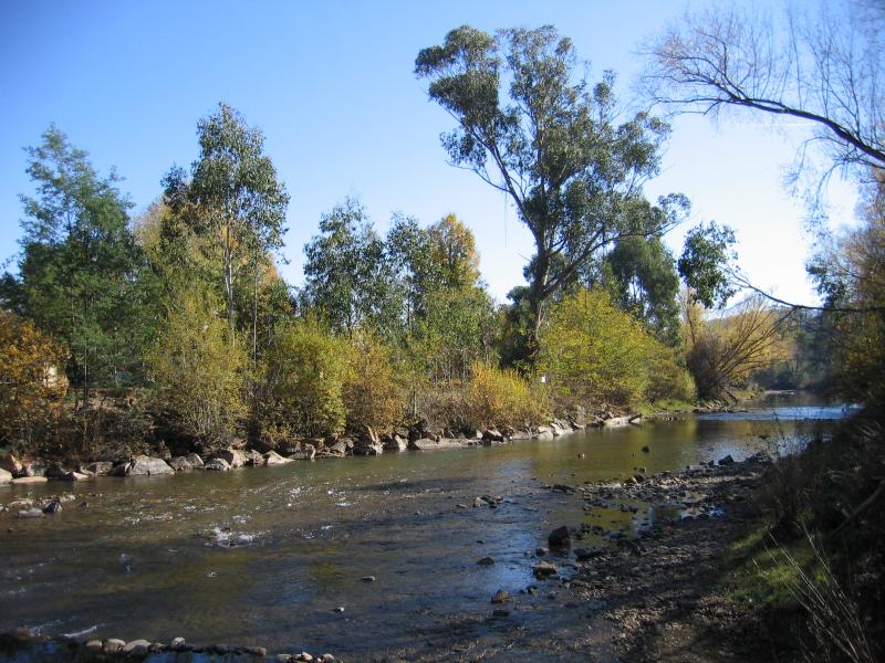 Porepunkah - Ovens River, west side of Great Alpine Road: View north-west along Ovens River