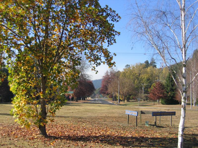 Porepunkah - Great Alpine Road, Buckland Valley Road and Mount Buffalo Road junction: Trees in middle of roundabout, view south-east