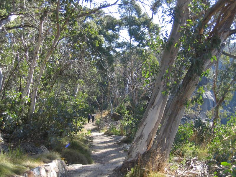 Porepunkah - Gorge Day Visitor Centre near Mount Buffalo Chalet: Walking path between car park and Crystal Brook Falls