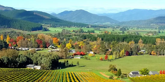 Ringer Reef Vineyard, Porepunkah