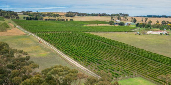 Bellarine Estate, Bellarine