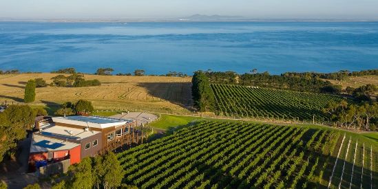 Jack Rabbit Vineyard, Bellarine