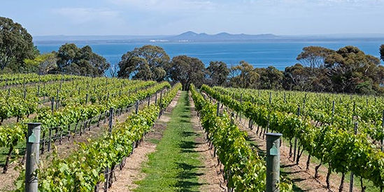 Terindah Estate, Bellarine