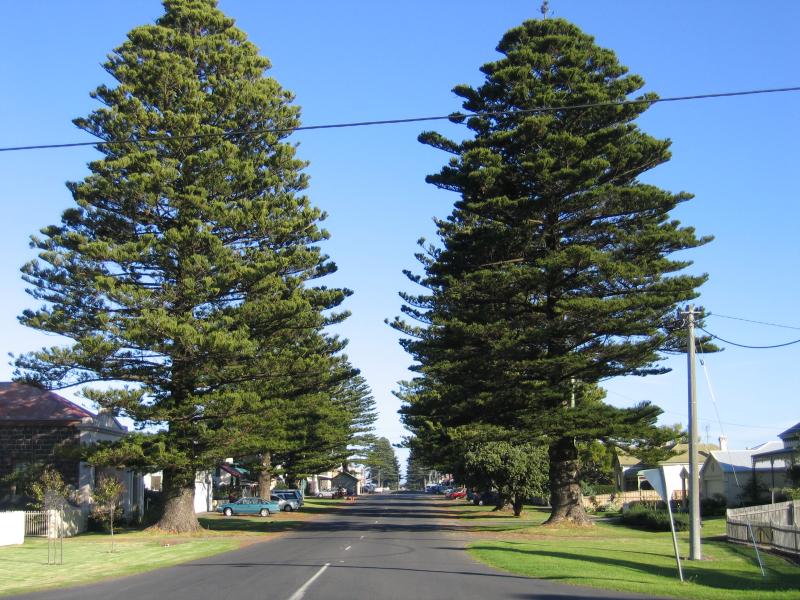 Port Fairy - Around Port Fairy: View south along Sackville St at Regent St