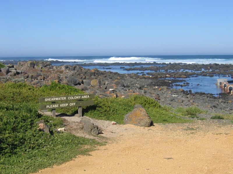Port Fairy - Griffiths Island: Beach on island south coast