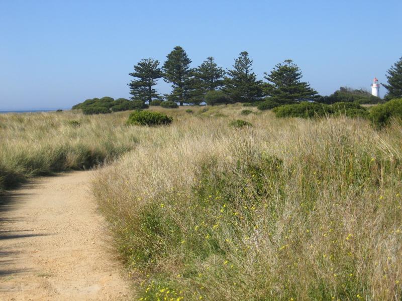 Port Fairy - Griffiths Island: Path along northern coast of island