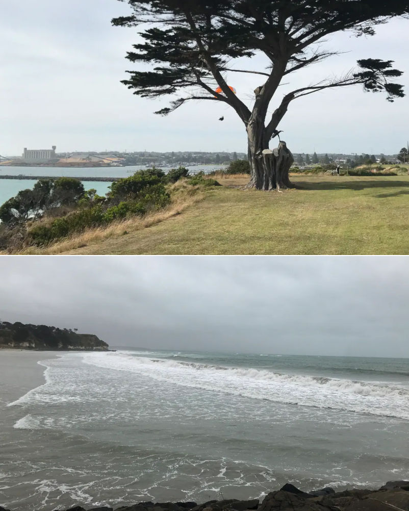 Milbanksea - Beach and cliff top parkland