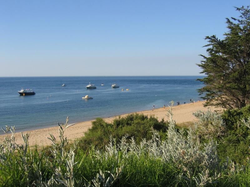 Portsea - Portsea Pier and foreshore at Weeroona Bay: View east along foreshore near Portsea Hotel