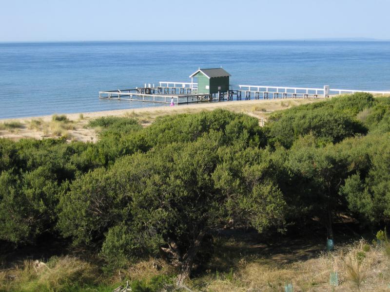 Portsea - Shelly's Beach at Collins Bay: View across foreshore and beach