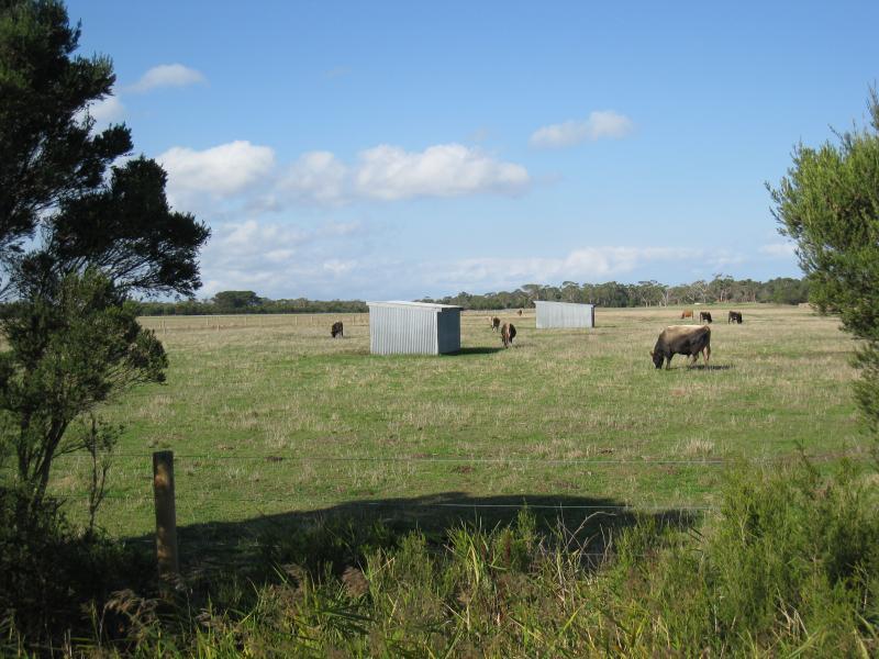 Port Welshpool - Port Welshpool Road: Easterly view through paddock, Port Welshpool Rd north of Smith St